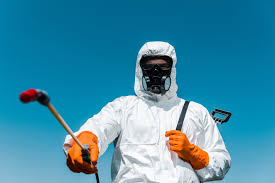 Best Lawn Pest Control  in Ville Ptte, LA